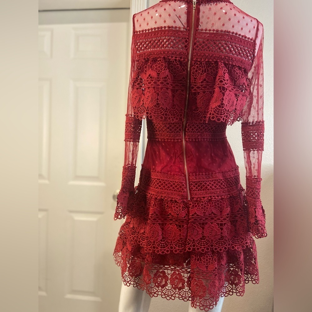 L & F~NWT~Lovely~Tiered Ruffle~Sheer Netting~Embroidered Lace~Mini Dress~Size S - Picture 7 of 15